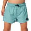 Rip Curl Boys' Offset Volley Shorts (Toddler, Little Kid)